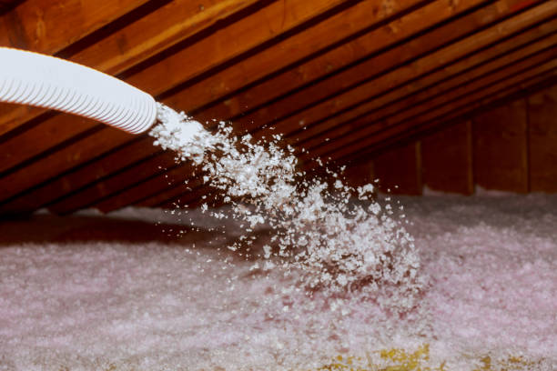 Best Insulation Replacement Services  in Mount Vista, WA
