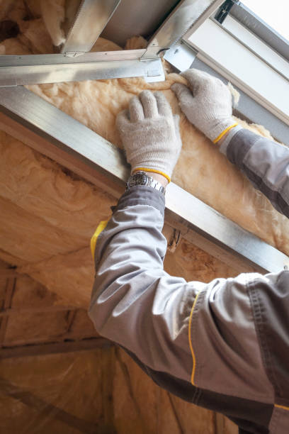 Best Soundproof Insulation Installation  in Mount Vista, WA