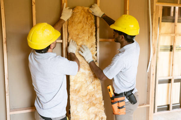 Best Insulation for New Construction  in Mount Vista, WA