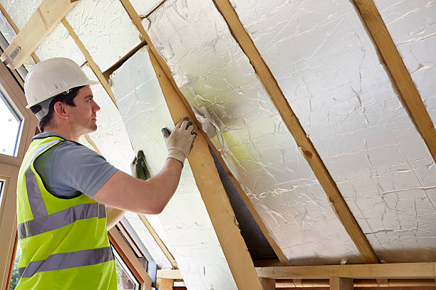 Best Professional Insulation Contractor  in Mount Vista, WA
