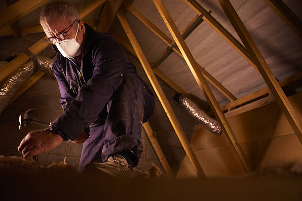 Best Fiberglass Insulation  in Mount Vista, WA